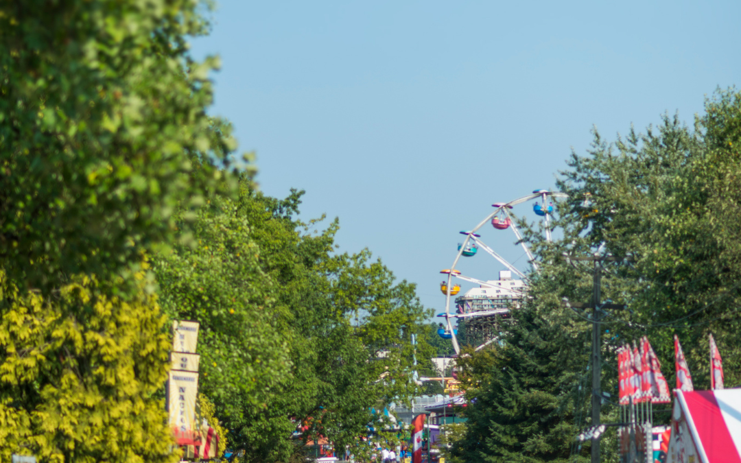 La gestion d’affluence en parcs de loisirs et zoos : l’importance du snacking adapté